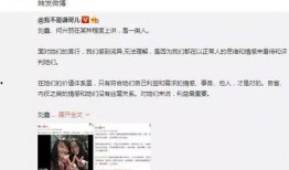 刘鑫最近爆料视频播放,揭秘背后惊人真相